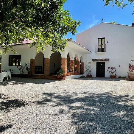 Villa Tana Pacenzia Cefalù Exteriör bild