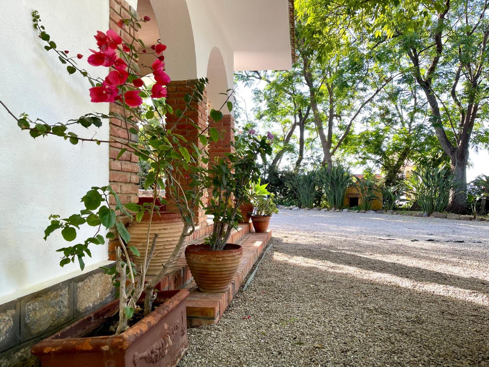 Villa Tana Pacenzia Cefalù Exteriör bild